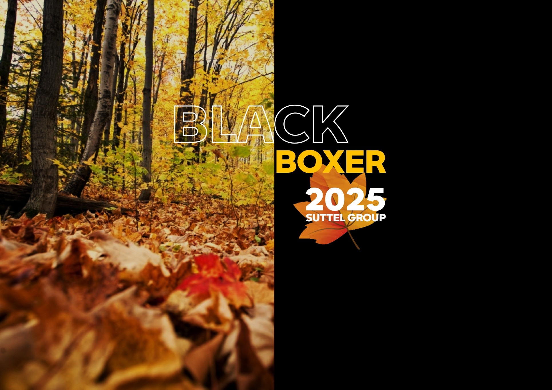 BLACK BOXER 2025