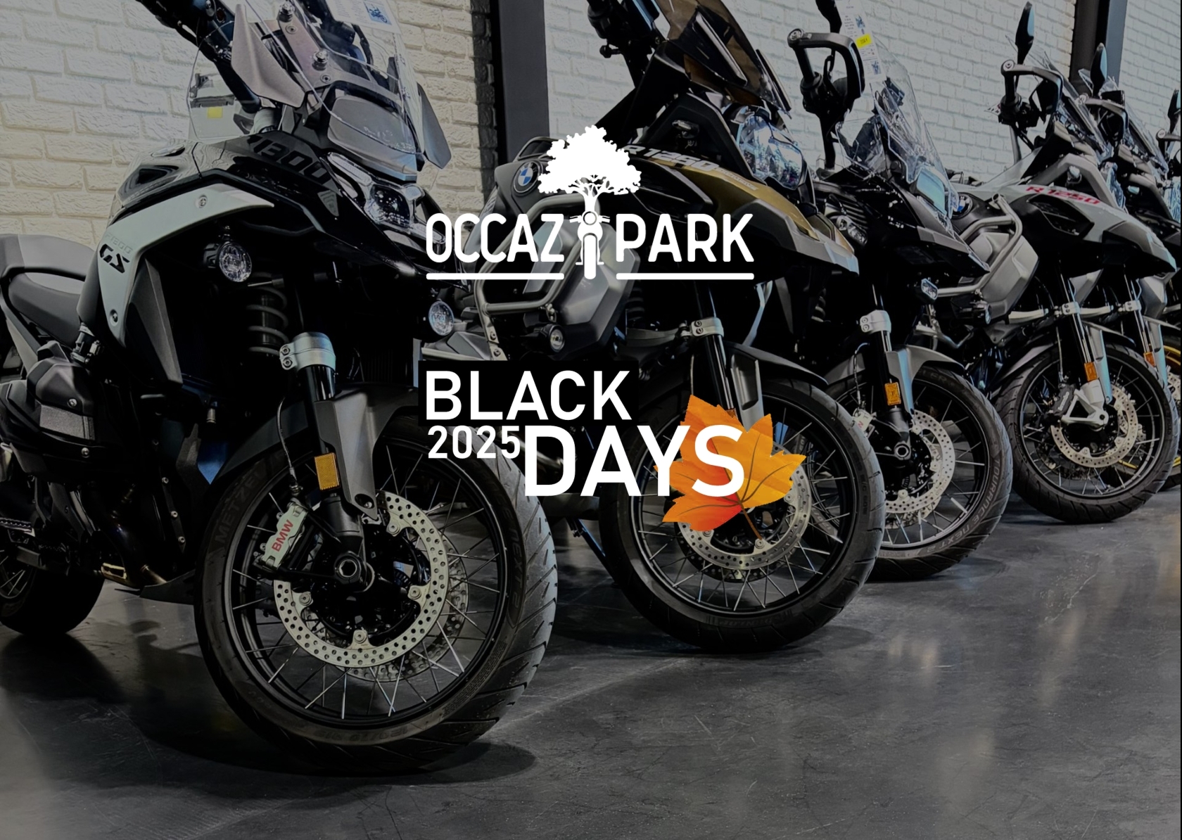 BLACK DAYS 2025 - OCCAZPARK