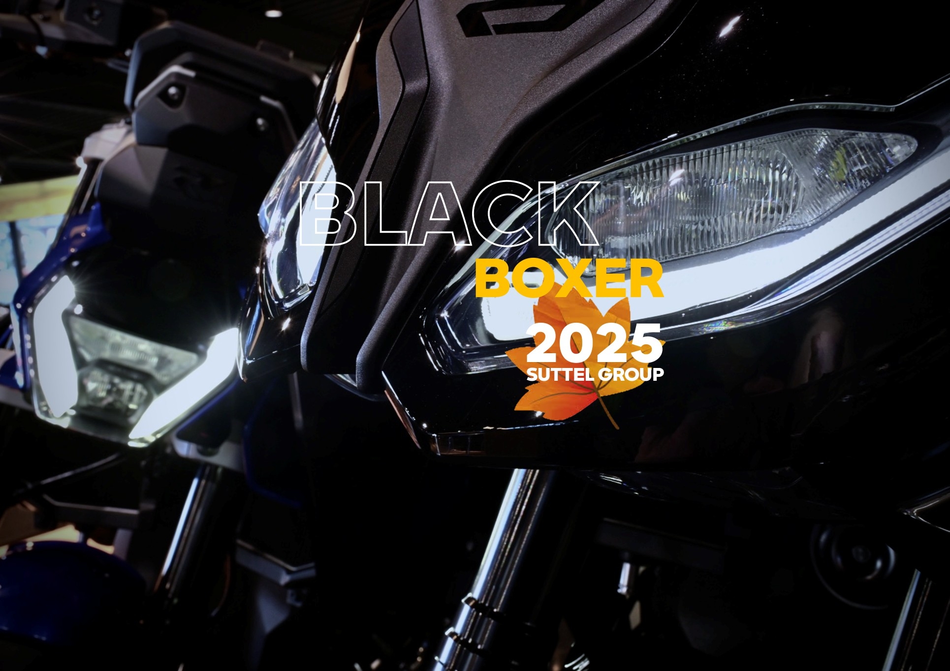 BLACK BOXER 2025 - Nouvelles BMW R 1300 R & RS : 1 300 €* D'AVANTAGE CLIENT