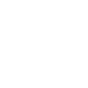 Zontes