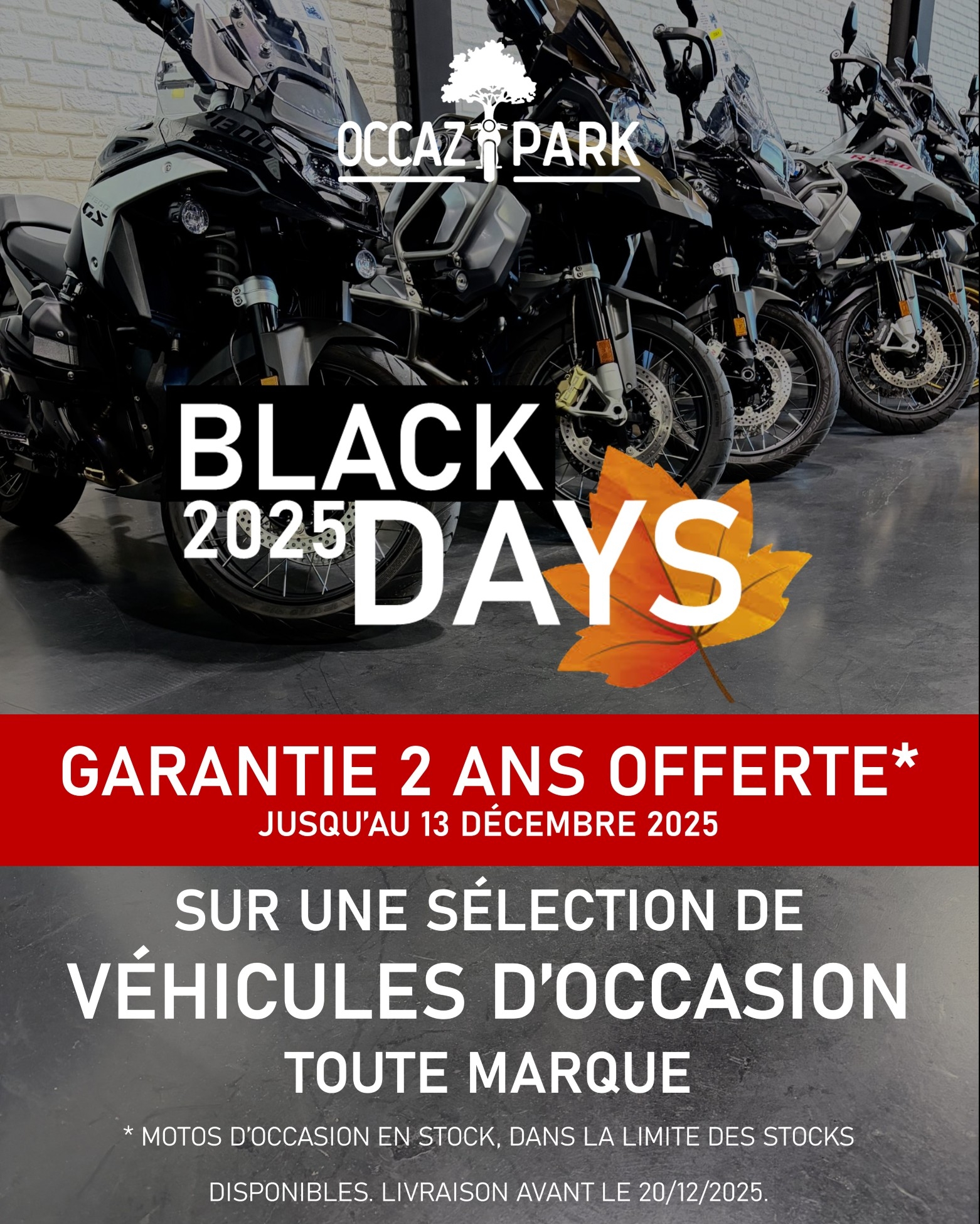 BLACK DAYS VO 2025 - OccazPark
