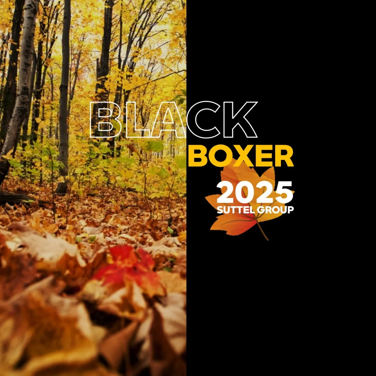 BLACK BOXER 2025
