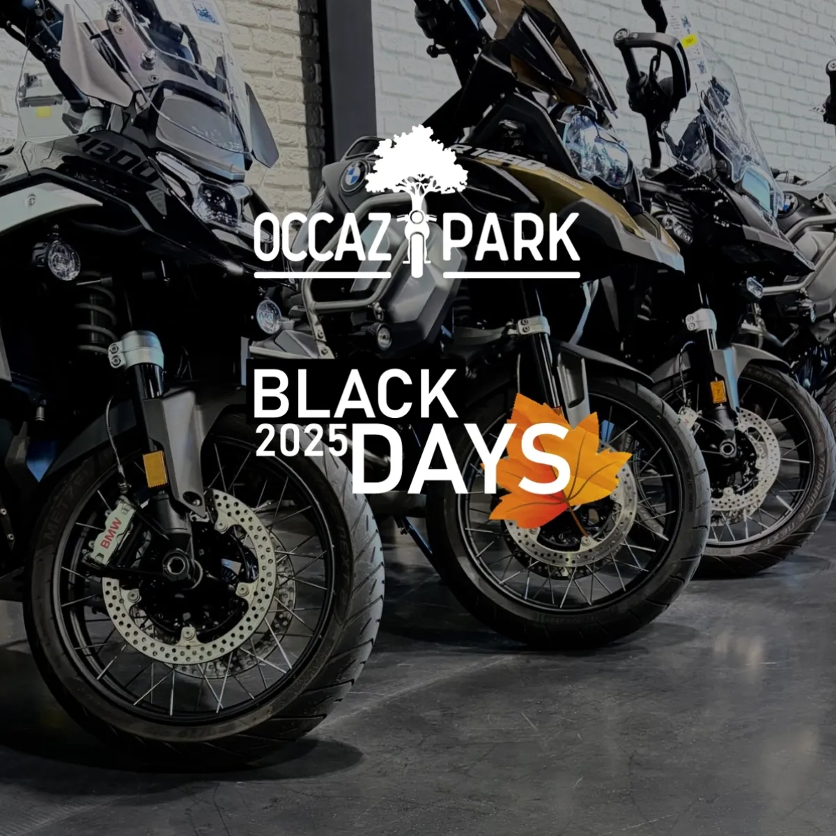 BLACK DAYS 2025 - OCCAZPARK