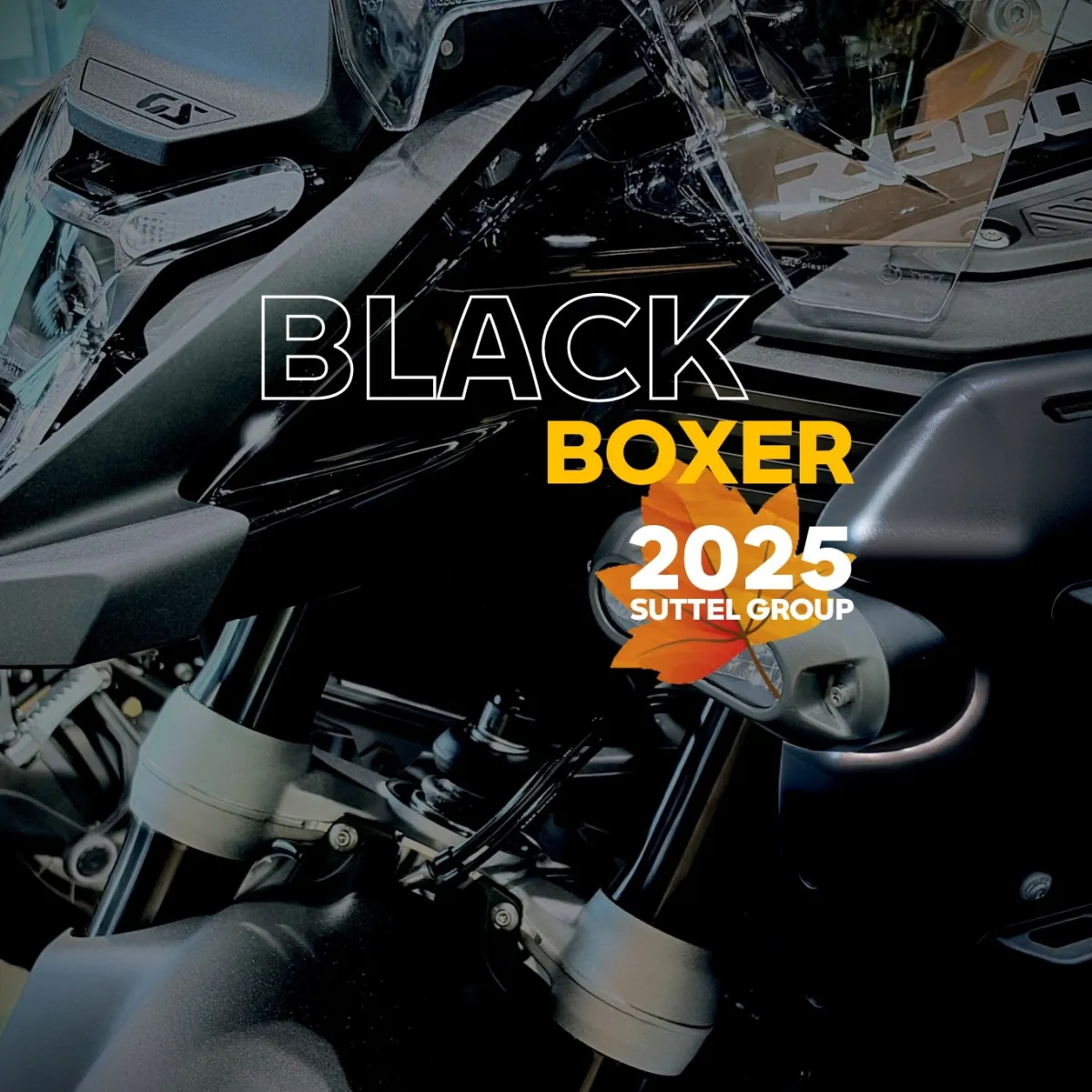 BLACK BOXER 2025 - BMW R 1300 GS Adventure Black Edition : La 