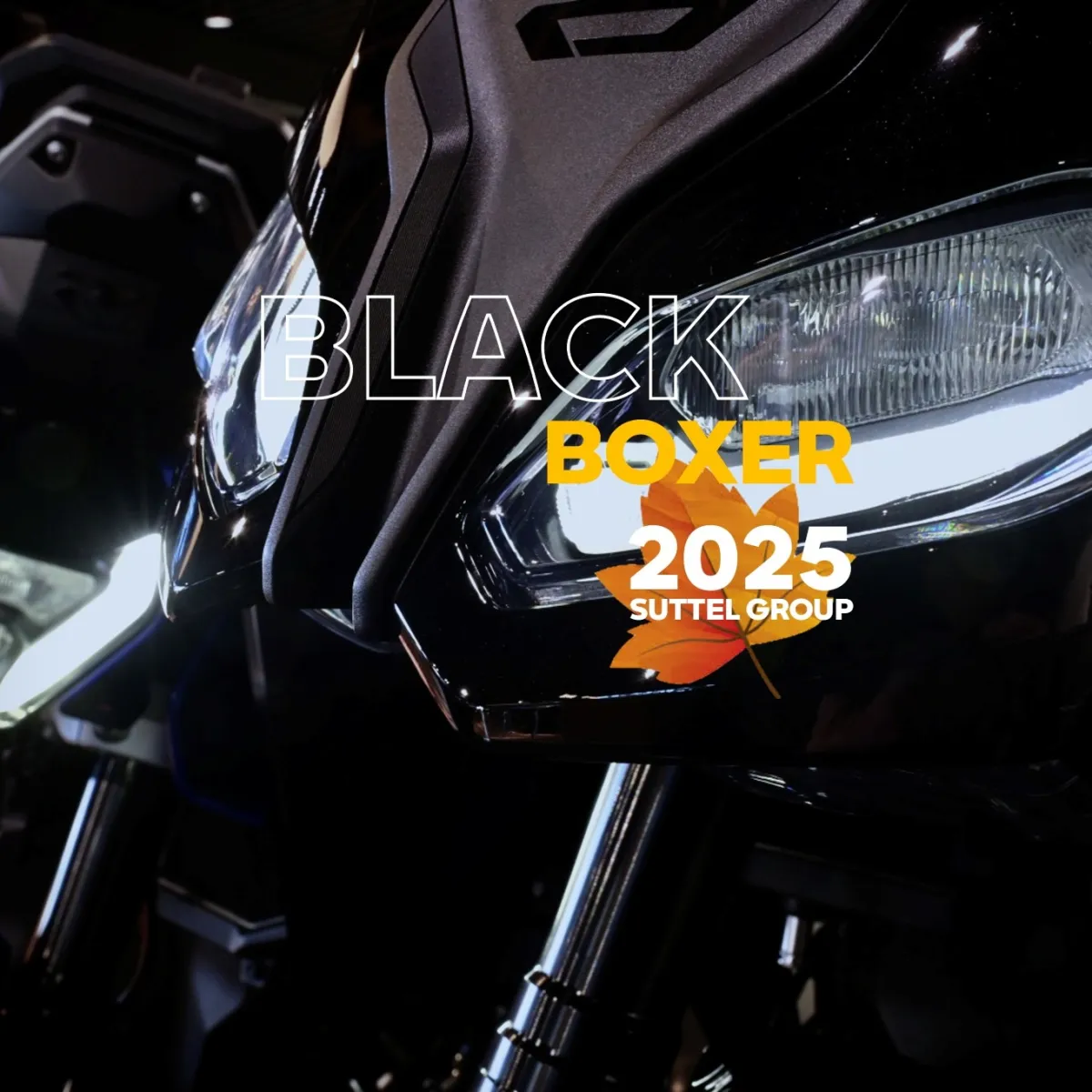 BLACK BOXER 2025 - Nouvelles BMW R 1300 R & RS : 1 300 €* D'AVANTAGE CLIENT