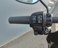 HARLEY-DAVIDSON Custom 1868 Couleur 2022