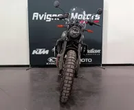 INDIAN FTR 1200 Rally 2022