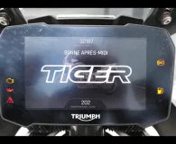 TRIUMPH 900 GT Pro + Options