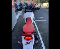 DUCATI DesertX 937 Rally
