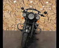 INDIAN DARK HORSE .