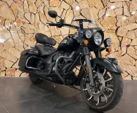 INDIAN DARK HORSE .