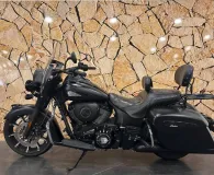 INDIAN DARK HORSE .