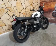 TRIUMPH Street Scrambler 900 ABS