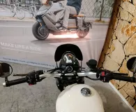 TRIUMPH Street Scrambler 900 ABS