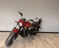 INDIAN 1133