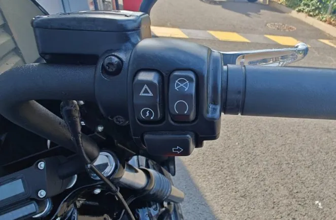 HARLEY-DAVIDSON Custom 1868 Couleur 2022