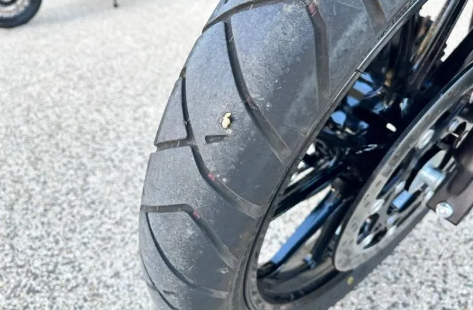 SUZUKI V-Strom ABS 2024 + OPTIONS