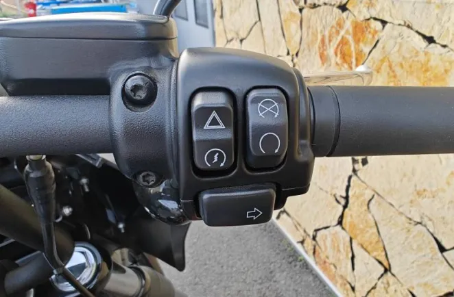 HARLEY-DAVIDSON Custom 1868 Couleur 2022