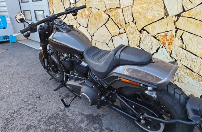 HARLEY-DAVIDSON 1868 Noir 2023