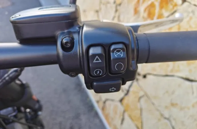 HARLEY-DAVIDSON 1868 Noir 2023