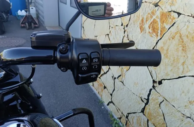 HARLEY-DAVIDSON 1868 Noir 2019