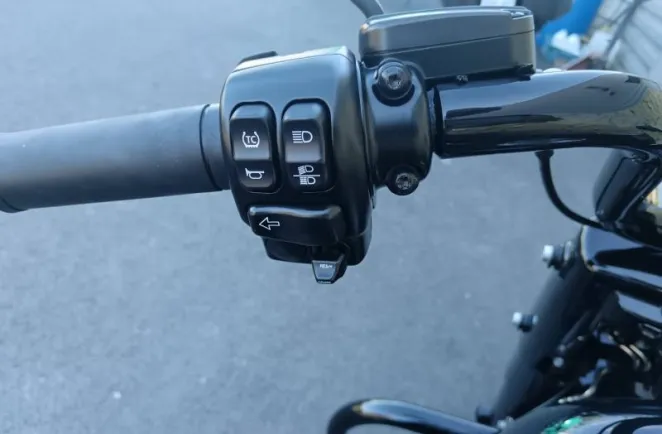 HARLEY-DAVIDSON 1868 Noir 2019