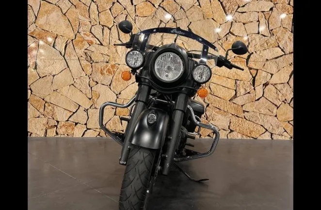 INDIAN DARK HORSE .