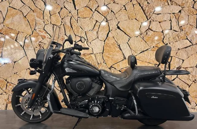 INDIAN DARK HORSE .