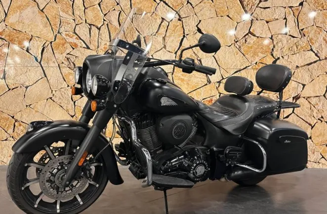 INDIAN DARK HORSE .