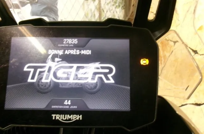 TRIUMPH Tiger 1200 GT Pro