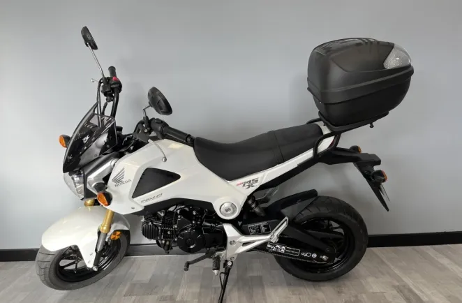 HONDA MSX NR
