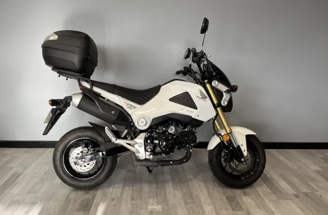 HONDA MSX NR