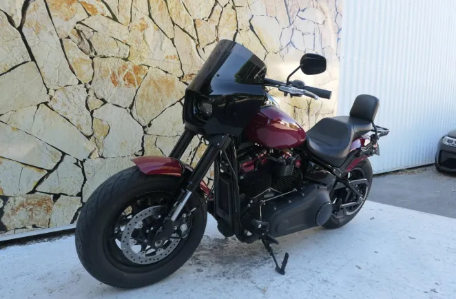 HARLEY-DAVIDSON + Options