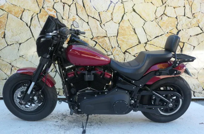 HARLEY-DAVIDSON + Options