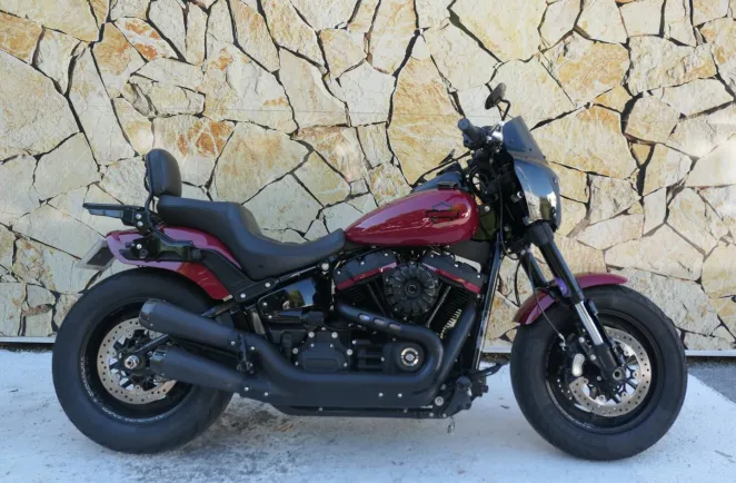 HARLEY-DAVIDSON + Options