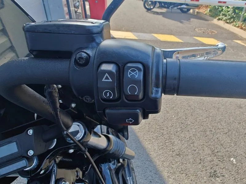 HARLEY-DAVIDSON Custom 1868 Couleur 2022