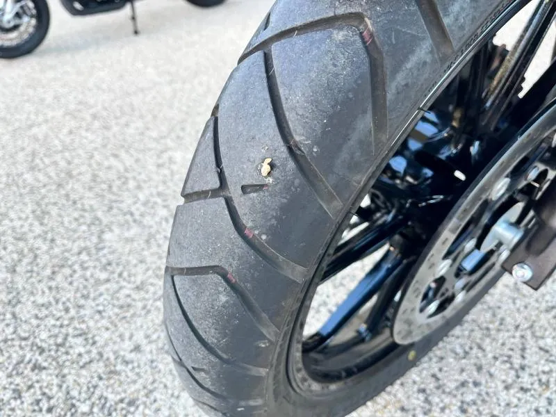 SUZUKI V-Strom ABS 2024 + OPTIONS