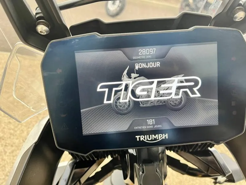 TRIUMPH 900 Rally Pro