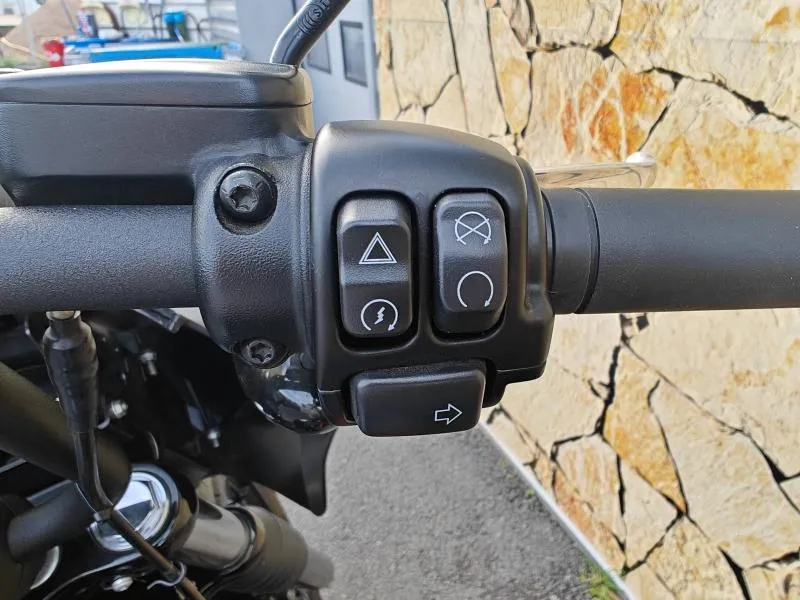 HARLEY-DAVIDSON Custom 1868 Couleur 2022