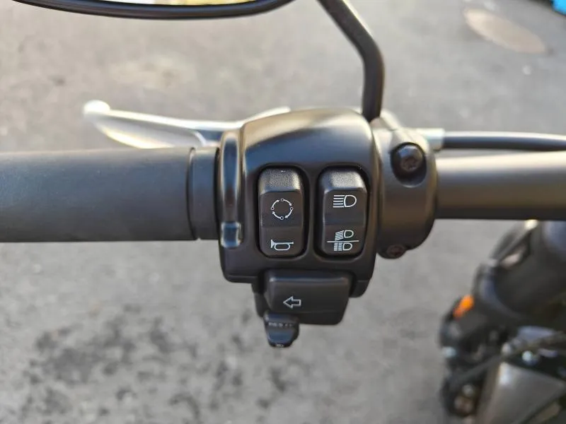 HARLEY-DAVIDSON 1868 Noir 2023