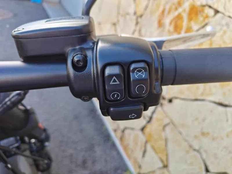 HARLEY-DAVIDSON 1868 Noir 2023