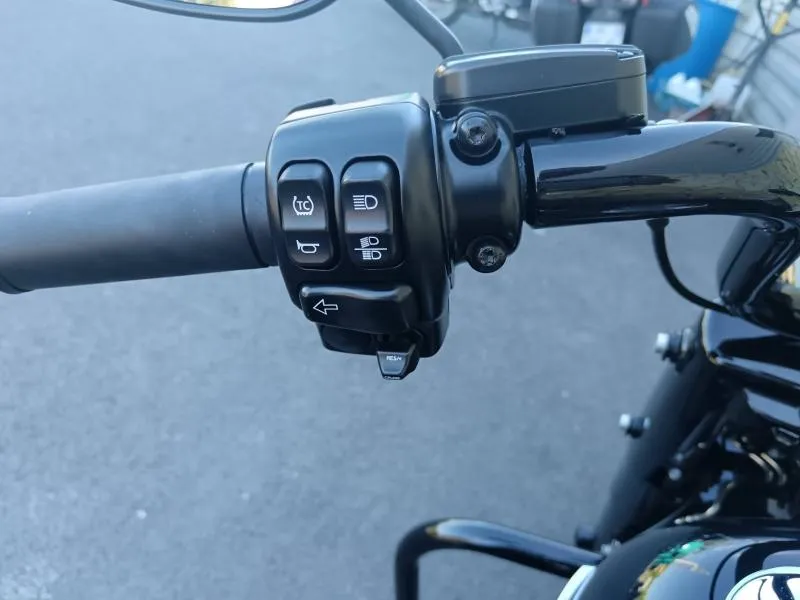 HARLEY-DAVIDSON 1868 Noir 2019