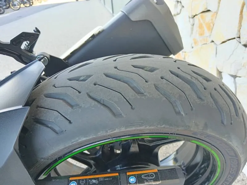 KAWASAKI 1000 H2 2024