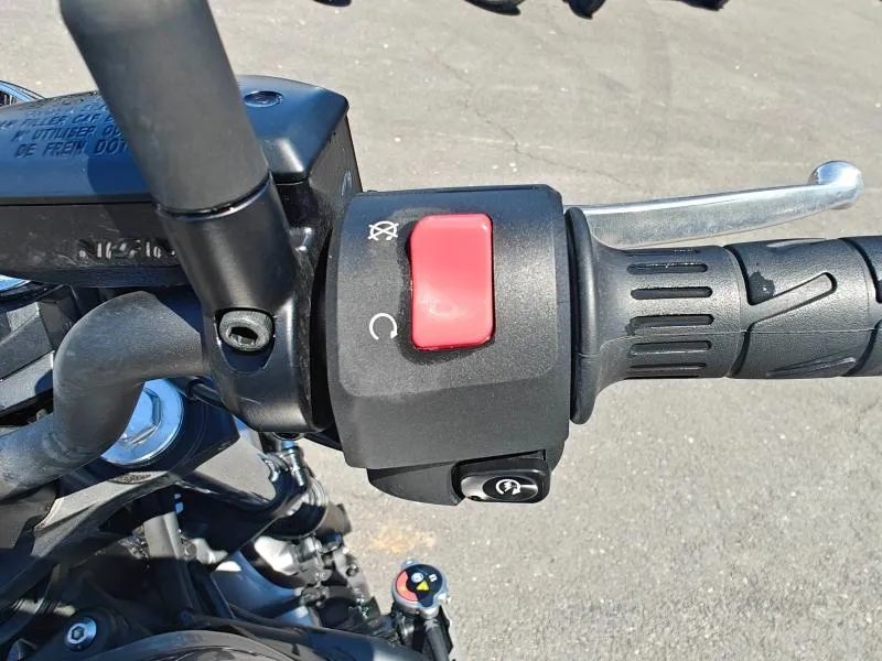 KAWASAKI 650 RS 2024