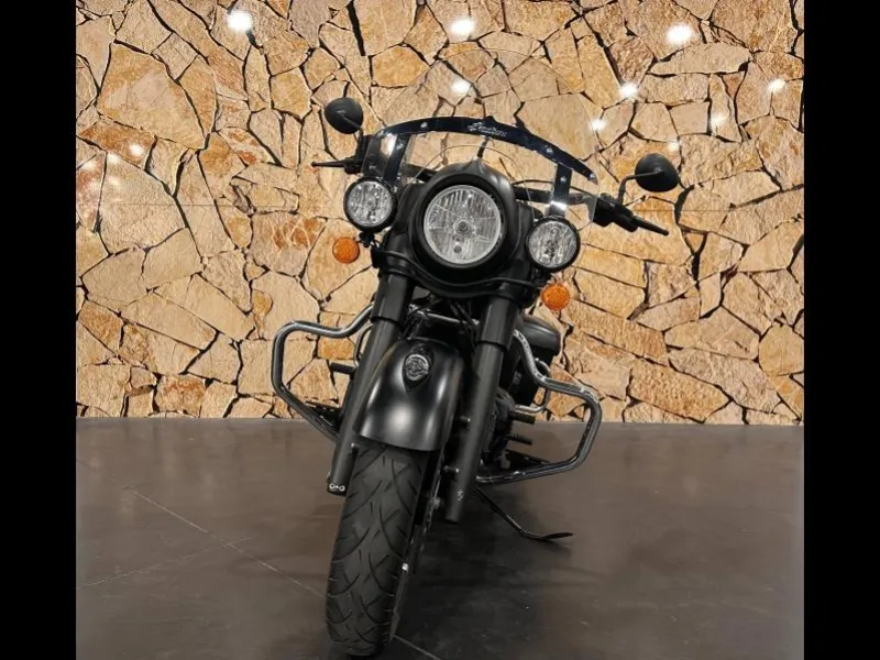 INDIAN DARK HORSE .