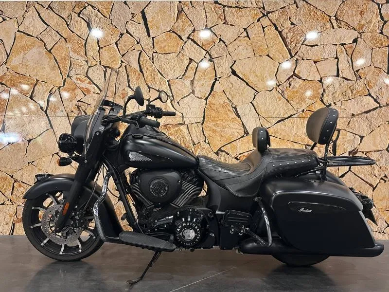 INDIAN DARK HORSE .