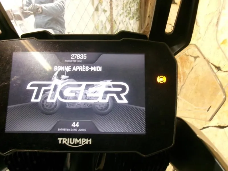 TRIUMPH Tiger 1200 GT Pro