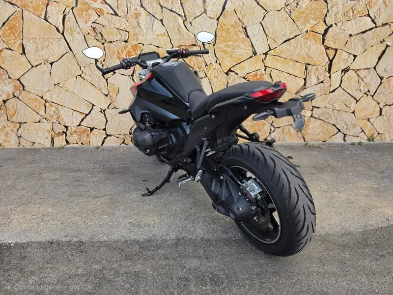 BMW 1300 R