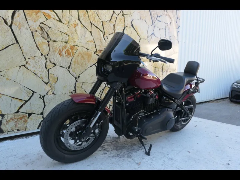HARLEY-DAVIDSON + Options