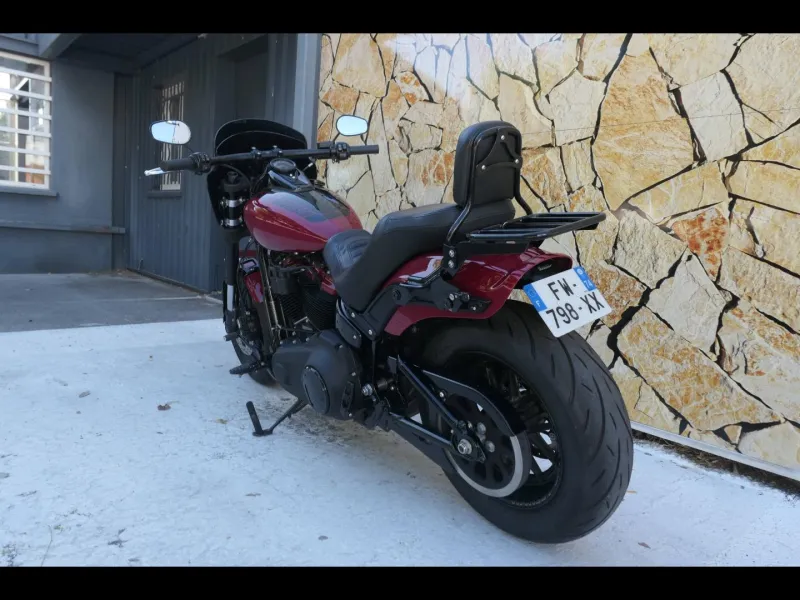 HARLEY-DAVIDSON + Options